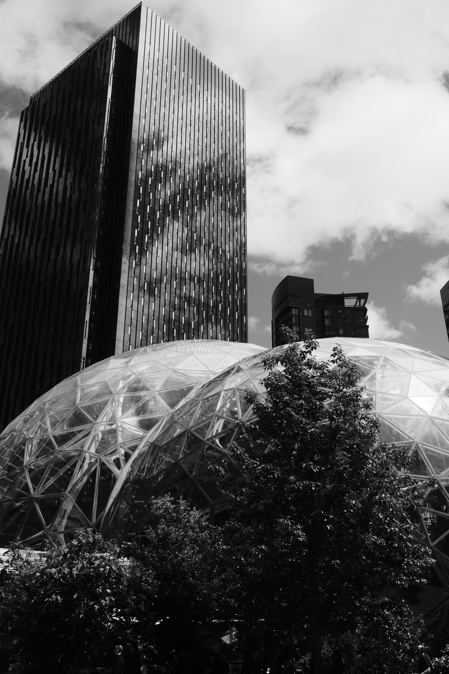 Seattles Spheres located downtown Seattle.